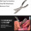 Rib Prep Pro Stainless Steel Rib Membrane Remover Tool 4