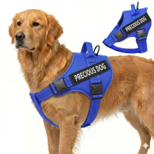 (Blue, S) No Pull Dog Harness, Reflective Adjustable Pet Vest with Handle, Breathable Anti-Choke Harness for Medium Large Dogs,