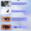 205 DIY Individual Cluster False Eyelashes Thick Volume Natural Look 4