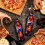 Pepsi Pepsi Max Cherry 500ml (Pack of 24) 7