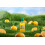 FRUIT SHOOT Orange 24 x 200ml bottles 6
