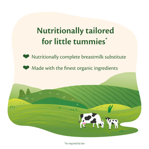 Hipp HiPP Organic 1 First Infant Milk from Birth 800g 2