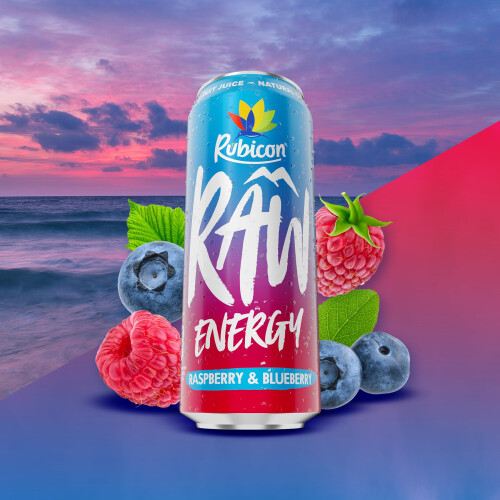 Rubicon Rubicon RAW 24 Pack Raspberry  Blueberry Energy Drink 20 Fruit Juice H 1
