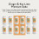 Something  Nothing Ginger  Lime Flavoured Sparkling Water 12 x 330 ml 3
