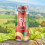 Yorkshire Tea Yorkshire Tea Peach & Raspberry Iced Tea, 330 ml (12-Pack) 7