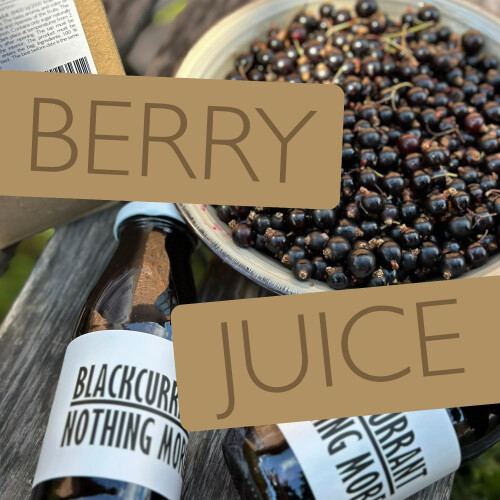 PRESSUICE Fresh Blackcurrant Nothing More Juice not from concentrate 1