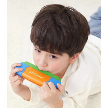 Jadelute Harmonica | 16 Hole Musical Instrument for Kids Early Education