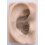 Doc's Pro Plugs DFFL5 Medium Vented Pro Ear Plugs with Leash, Clear 3