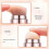 Dual-Ended Mini Makeup Brush Pen, 4-in-1 Retractable Travel Set 4