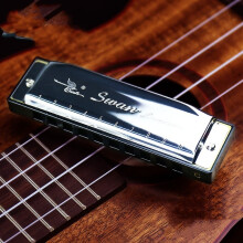 (Silver)Pour Cygne 24 Trous Harmonica Clé C pour Enfants et Adultes Pour Pratique Musicale