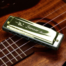 (Gold)Pour Cygne 24 Trous Harmonica Clé C pour Enfants et Adultes Pour Pratique Musicale
