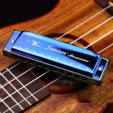 (Blue)Pour Cygne 24 Trous Harmonica Clé C pour Enfants et Adultes Pour Pratique Musicale