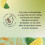 Twinings Twinings Lemon Green Tea 20 Tea Bags 5