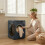 Homcom HOMCOM 5 kg Portable Vented Tumble Dryer Machine with Timer, Blue 8