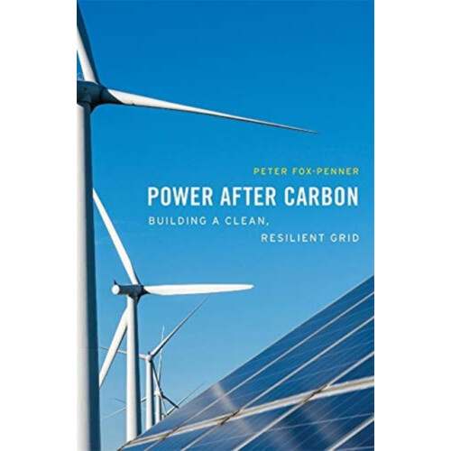 Power after Carbon by Peter FoxPenner Hardcover Book