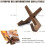 Cookbook Stand - Handmade - Solid Wood - Rustic - Multifunctional - Durable 4