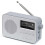 LEMEGA PR2 Max DAB Radio, Bluetooth 5.3, LCD Display, AA Battery, Grey 1
