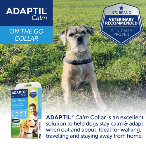Adaptil Collar for Small Dogs 2