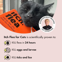 Itch Cat Flea & Tick Spot-On Treatment (For Cats 1kg+) – Kills Fleas, Ticks, Lic