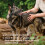 Beaphar Beaphar - Flea Tablets for Medium/Large Dogs (>11kg) - 3 Treatment Pack - Rapid 5
