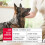 Beaphar Beaphar - Flea Tablets for Medium/Large Dogs (>11kg) - 3 Treatment Pack - Rapid 6