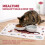 Trixie Trixie Comic Cat Print Place Mat, 44 x 28 cm (1 unit) 4