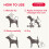 Beaphar Beaphar - Insecticidal Shampoo for Dogs – Kills Fleas Fast & Helps Prevent Flea 5