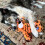 KONG KONG Wild Knots Tiger Medium/Large Dog Toy 2