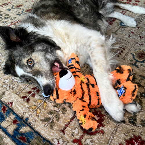 KONG KONG Wild Knots Tiger Medium/Large Dog Toy 1