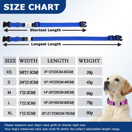 Personalized Nylon Dog Collar with Engraved Name Plate, XL, Black 1