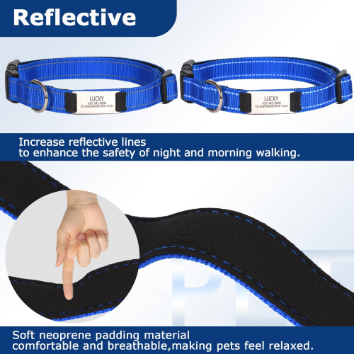 Personalized Nylon Dog Collar with Engraved Name Plate, XL, Black 2
