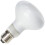 Komodo Komodo Basking Spot Lamp ES, 100 Watt, Packaging may vary 5