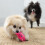 KONG KONG Snuzzles Kiddos Mini Squeaker Dog Toy Extra Small (Pig) 6