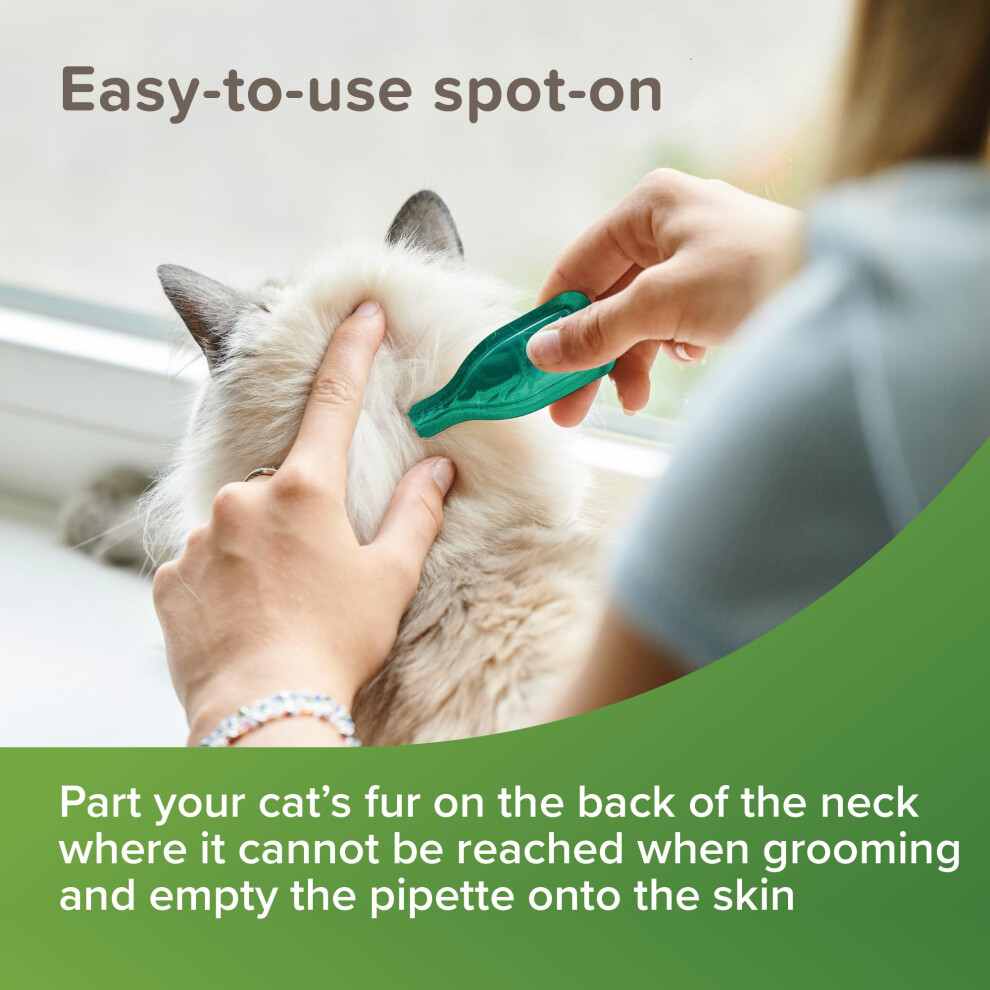 Beaphar - Vetopure Flea Spot-On For Cats – Repels Fleas For Up To 4 Weeks – Plan