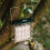 Peckish Peckish All Weather Suet Cake Feeder, Green 2