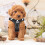 RAFIYU Dog Harness Vest, Adjustable Reflective Step-in Harness Set (S) 6