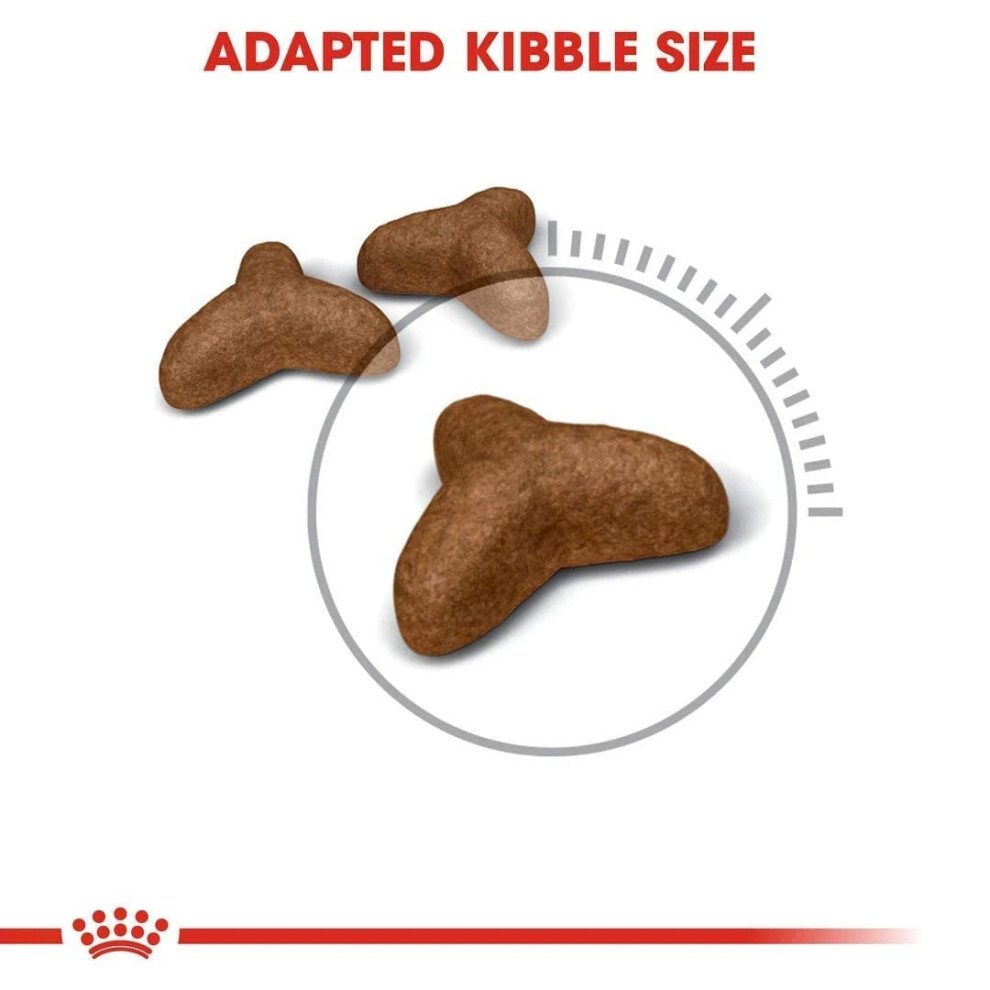 Photos - Bird Food Royal Canin Light Weight Care Adult Dry Cat Food 3kg 