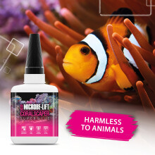 Coral glue reef tank – ARKA Coralscaper 50 g Gel – ultra strong for frag mounting & coral bonding – no-drip & instant hold – reef-safe adhes