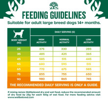 James Wellbeloved Adult Large Breed Turkey & Rice 15 kg Bag, Hypoallergenic Dry Dog Food