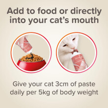 Beaphar - Salmon Oil Paste for Cats - Promotes Glossy, Shiny Coat - Supports Vision & Overall Health - Contains Omega 3 & 6, and DHA – Sugar