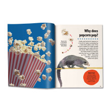 Britannica First Big Book of Why: Why can't penguins fly? Why do we brush our teeth? Why does popcorn pop? The ultimate book of answers for kids who