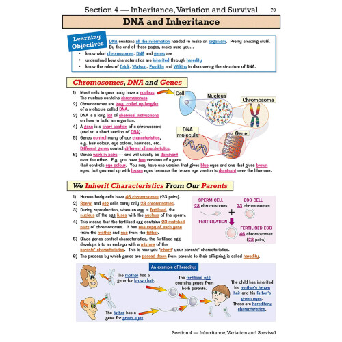 KS3 Biology Study & Question Book - Higher: for Years 7, 8 and 9 1