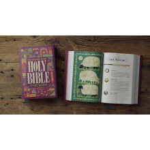 ESV The Biggest Story Holy Bible for Kids (Hardcover)