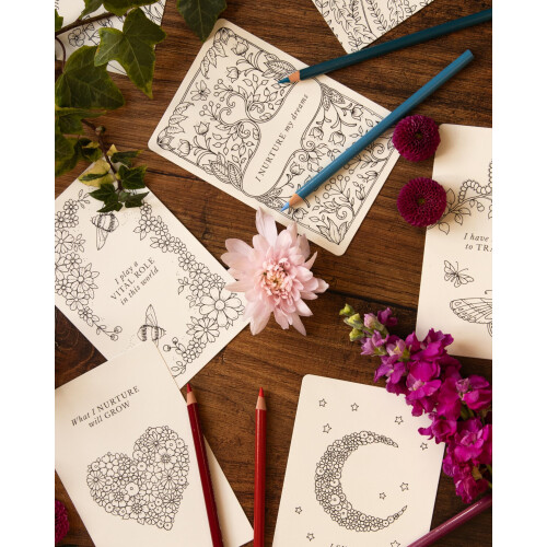 Johanna Basford's Notes from Nature: 30 Affirmation Cards to Colour 2