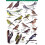 Park and Garden Birds (WildID) 2