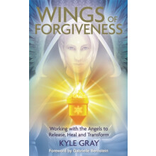 Wings of Forgiveness by Kyle Gray Paperback Book