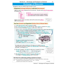 GCSE Combined Science Edexcel Revision Guide - Foundation inc. Online Edition, Videos & Quizzes: for the 2026 and 2027 exams (CGP Edexcel GCSE Combin