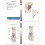 Trail Guide to the Body Flashcards Volume 2: Muscles 2