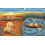 Steve Irwin (104) (Little People, BIG DREAMS) 4