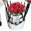 2X Adjustable Height Planter Inserts Elastic Planter Lift Riser Insert with Hooks Planter Inserts for Pots Planter 8
